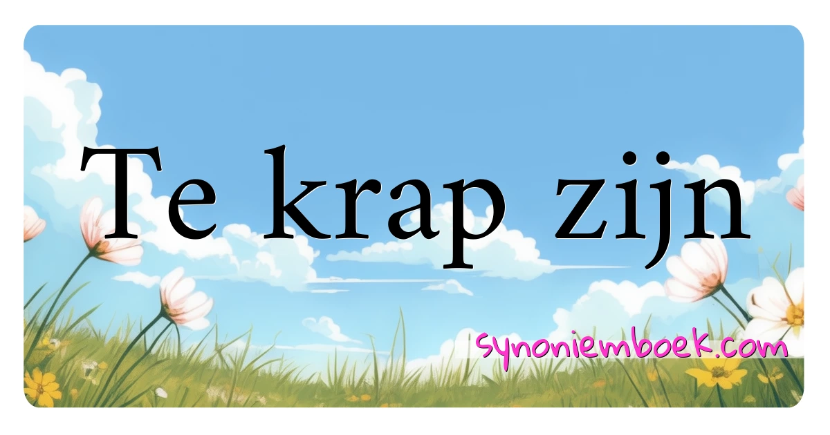 Te krap zijn synoniemen kruiswoordraadsel betekenen uitleg en gebruik