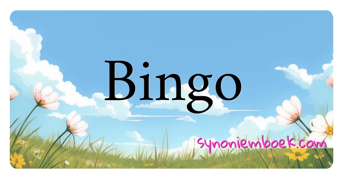 Bingo synoniemen kruiswoordraadsel betekenen uitleg en gebruik